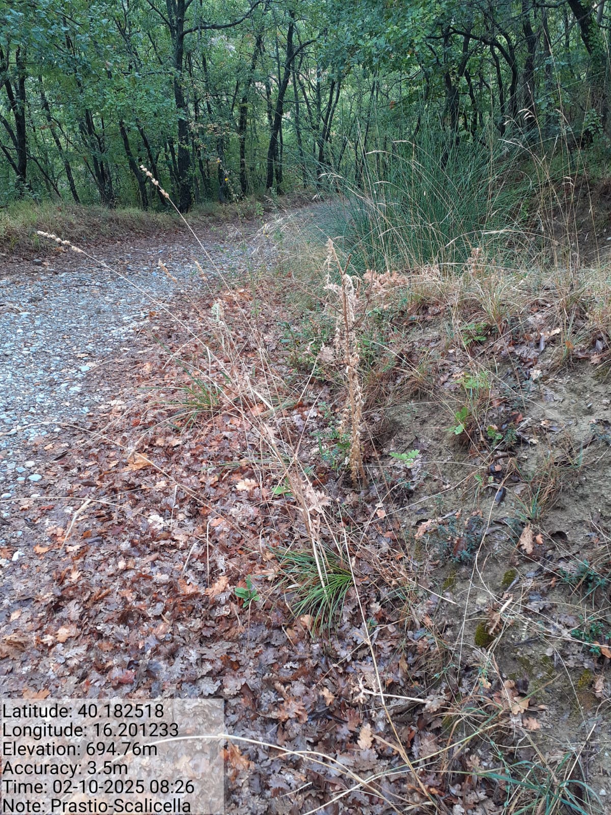 Galleria Fotografica Immagine