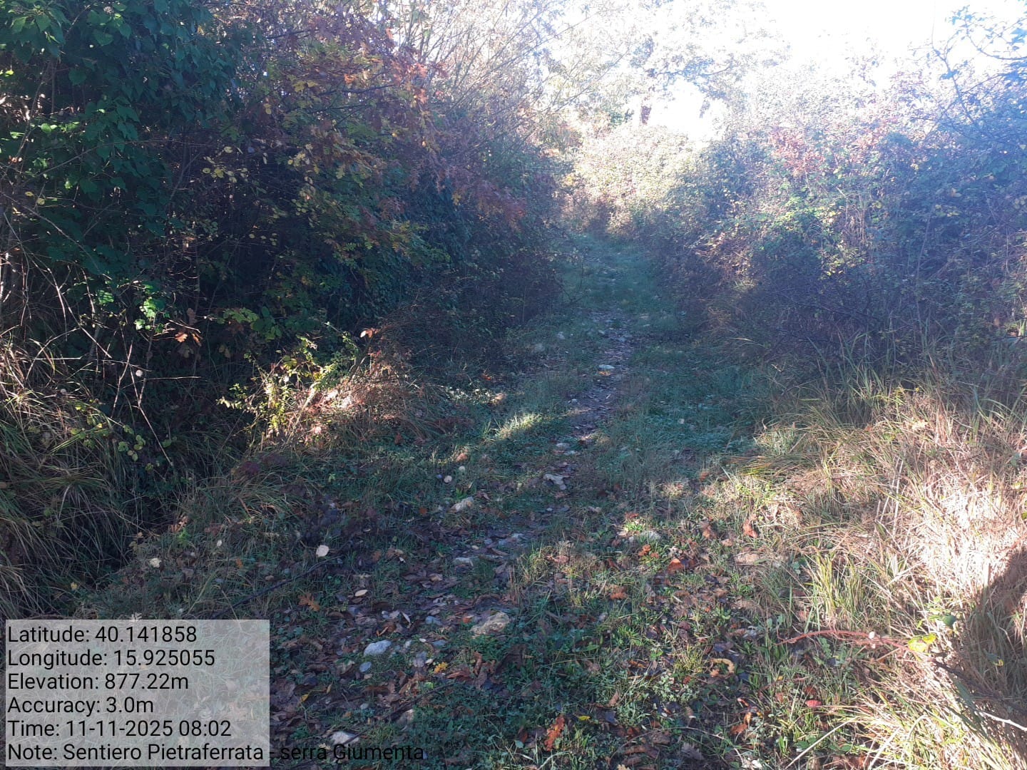 Galleria Fotografica Immagine