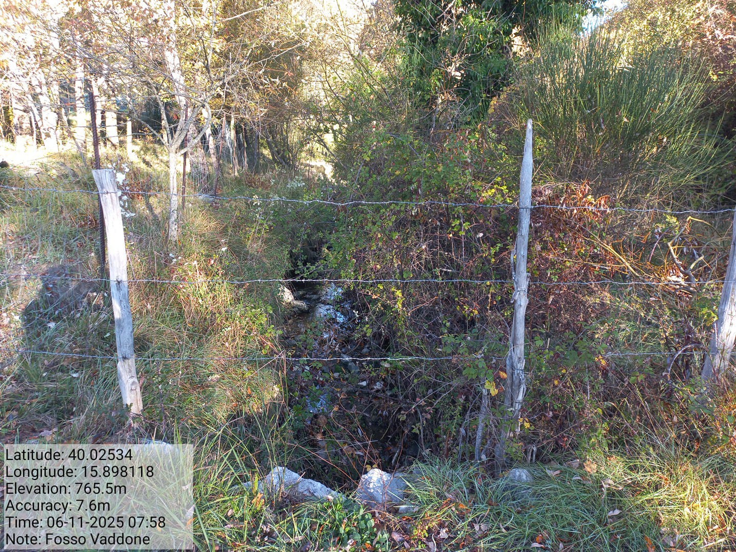 Galleria Fotografica Immagine