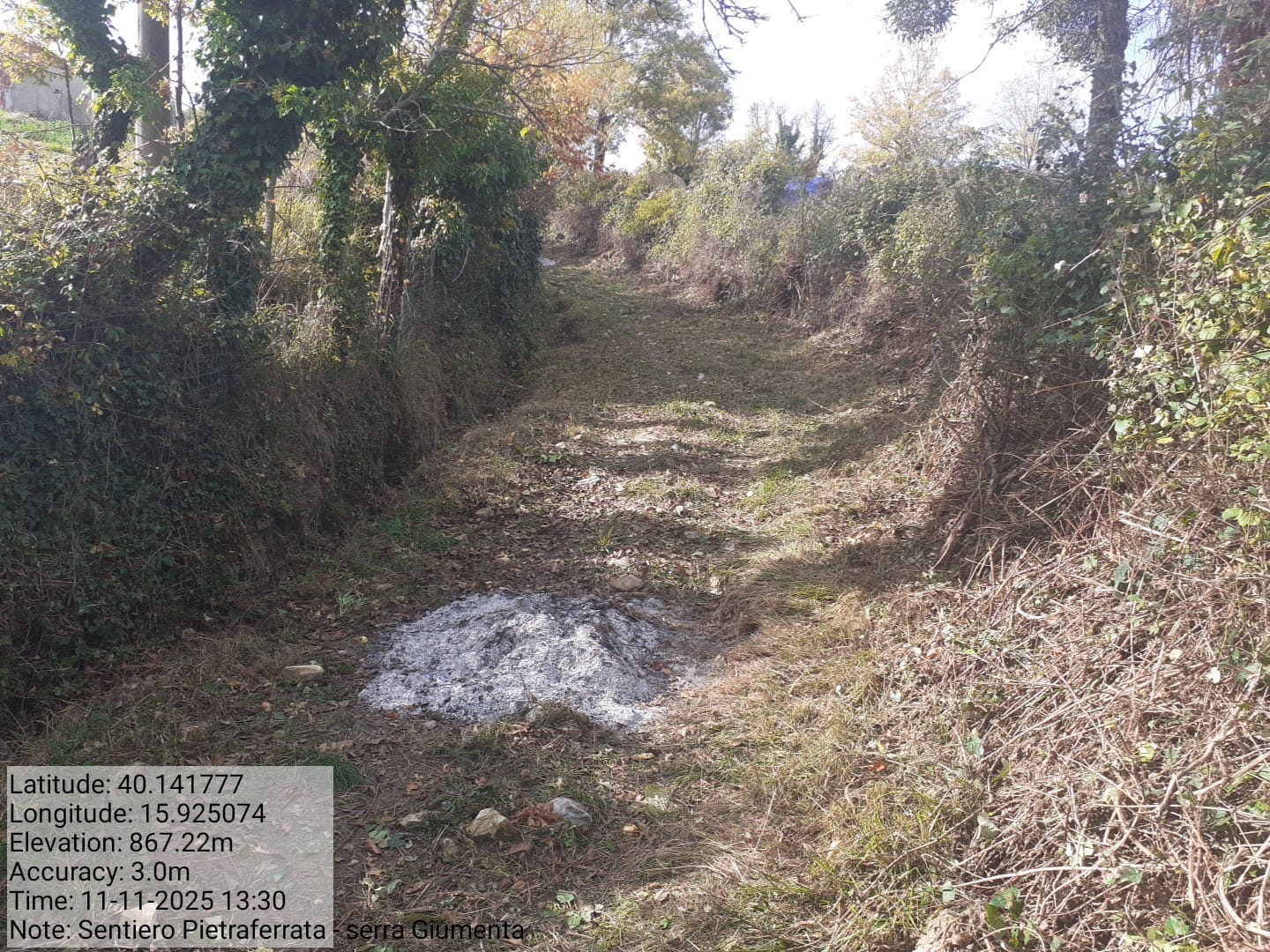 Galleria Fotografica Immagine