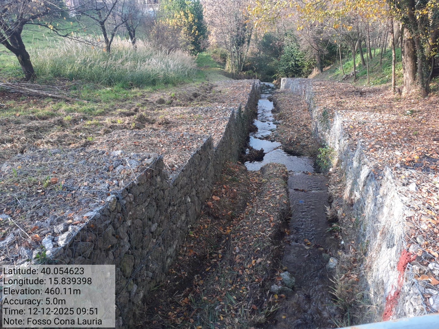 Galleria Fotografica Immagine