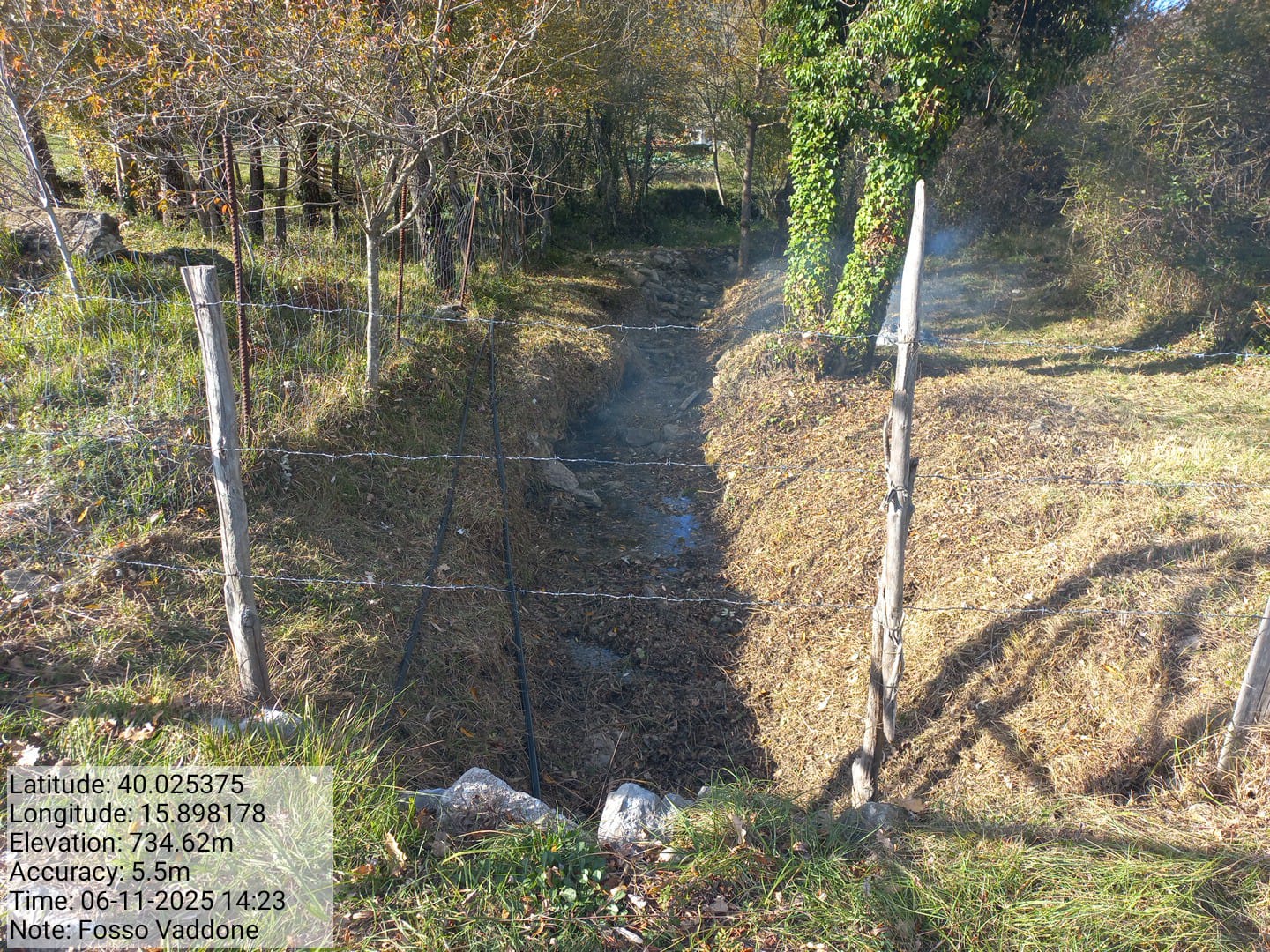 Galleria Fotografica Immagine