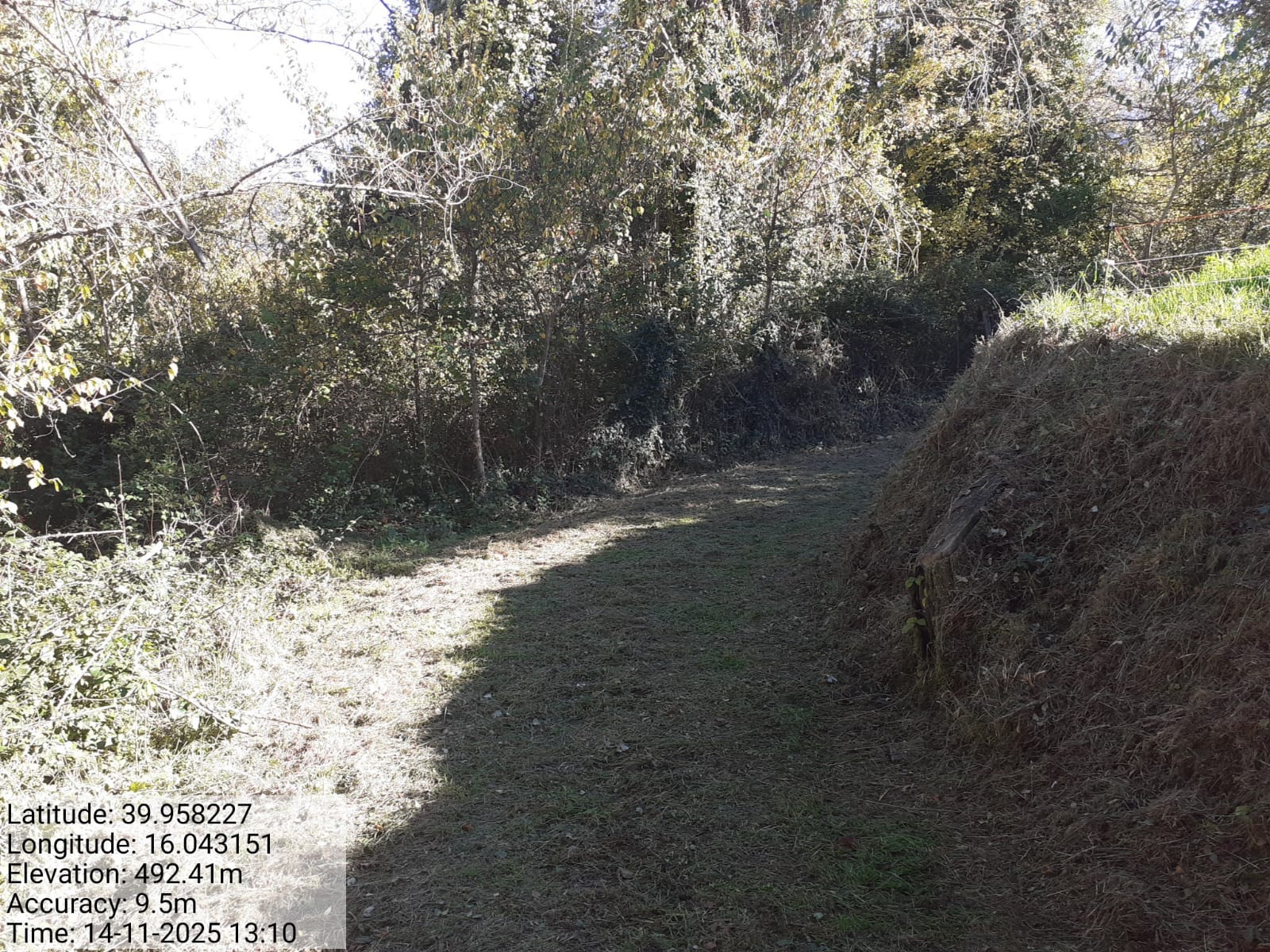 Galleria Fotografica Immagine