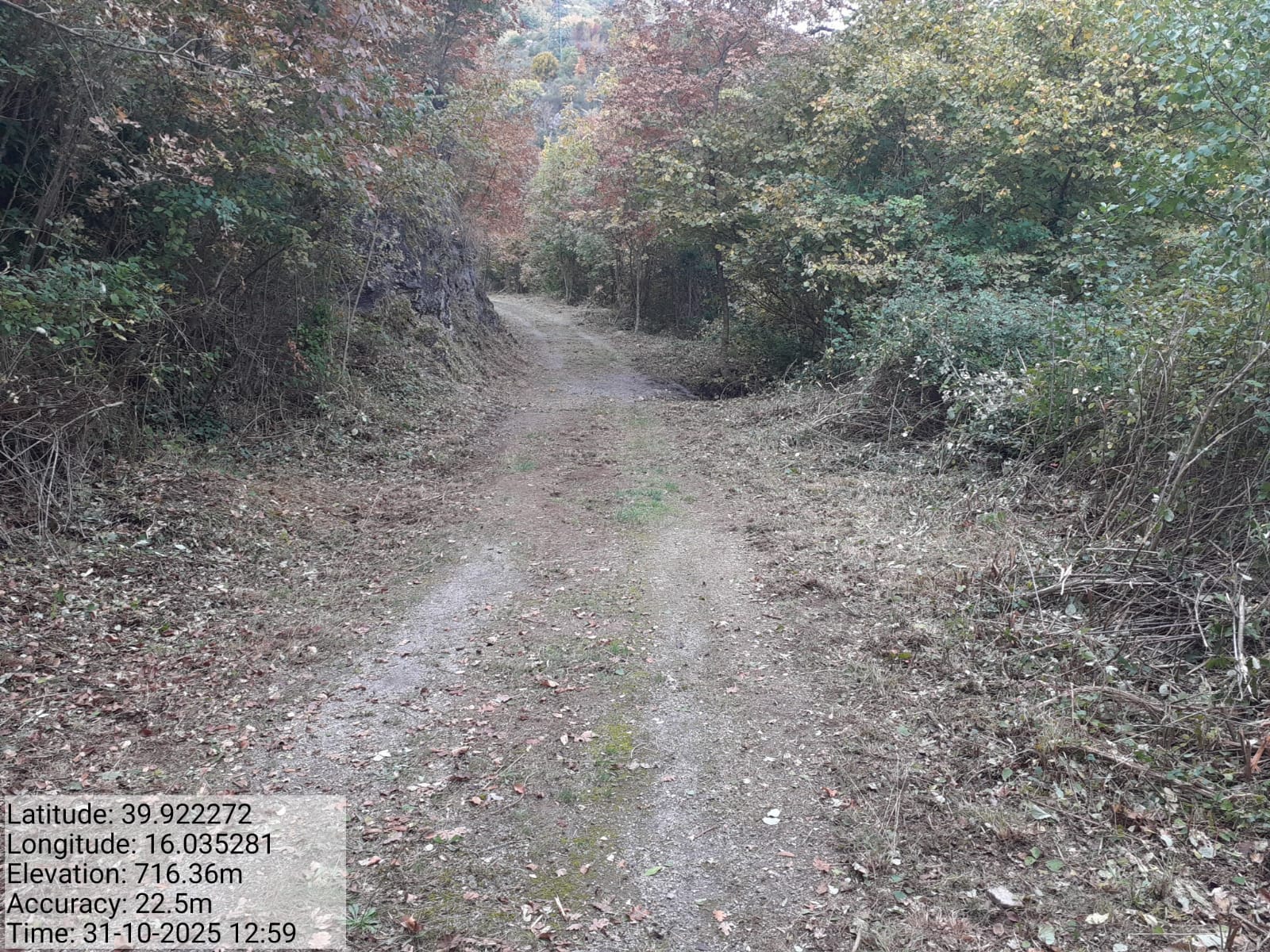 Galleria Fotografica Immagine