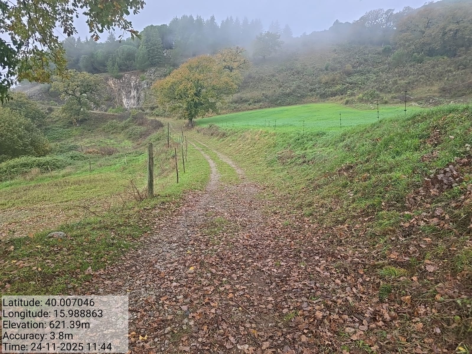 Galleria Fotografica Immagine