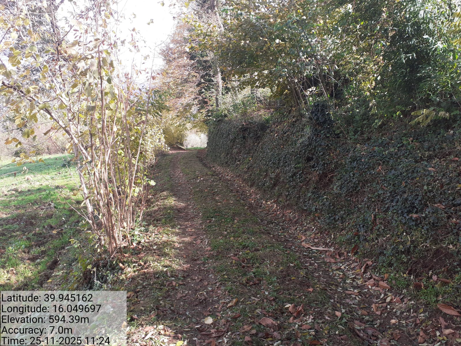 Galleria Fotografica Immagine