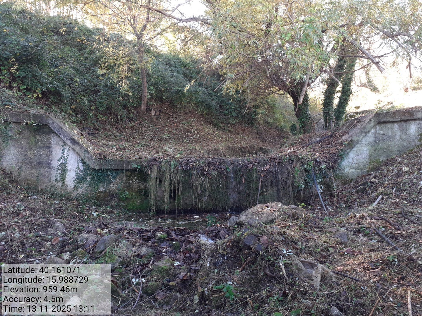 Galleria Fotografica Immagine