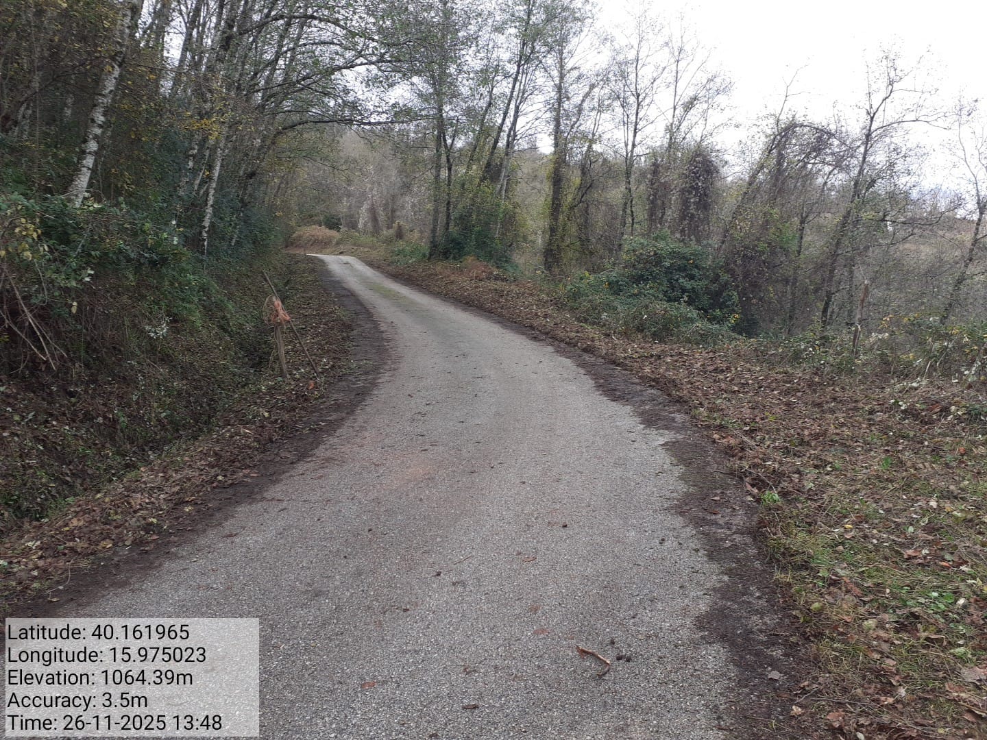 Galleria Fotografica Immagine