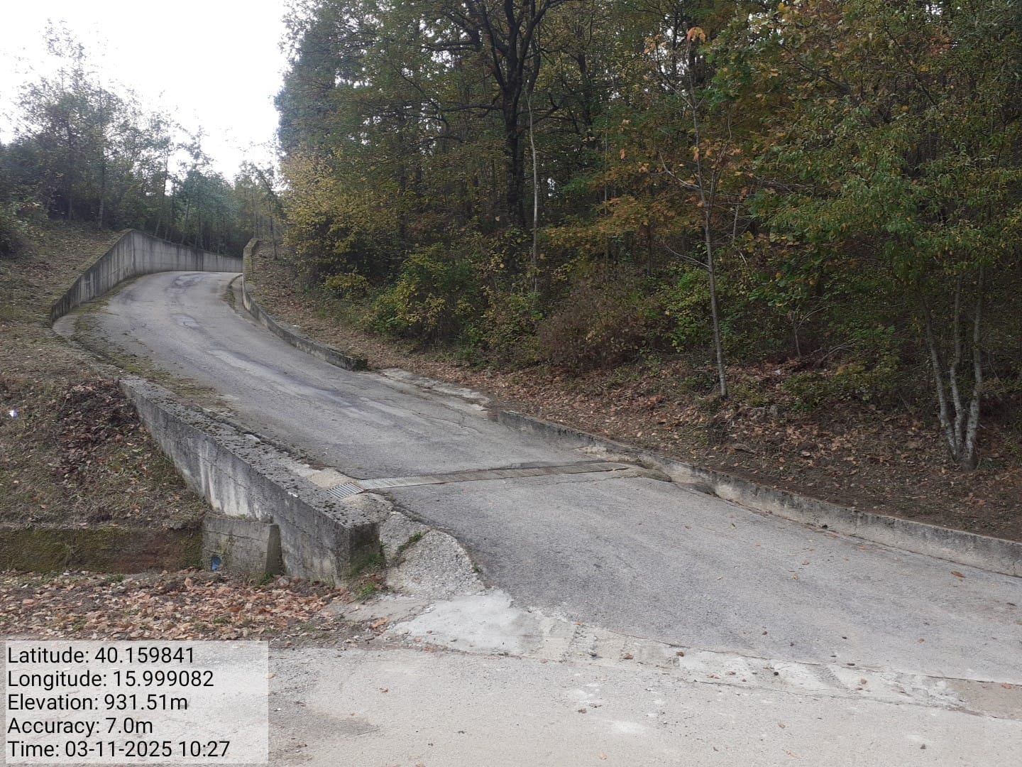 Galleria Fotografica Immagine