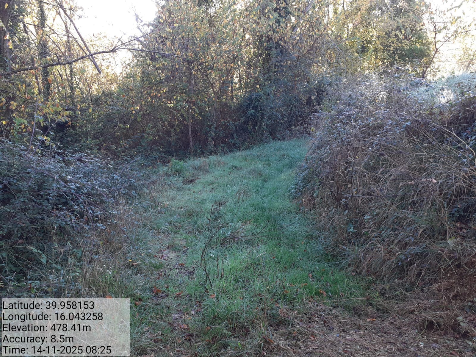 Galleria Fotografica Immagine