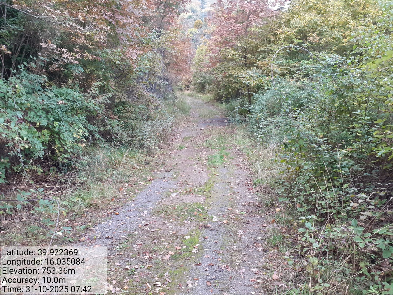 Galleria Fotografica Immagine