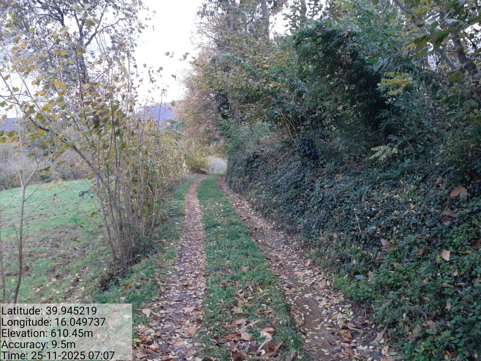 Galleria Fotografica Immagine