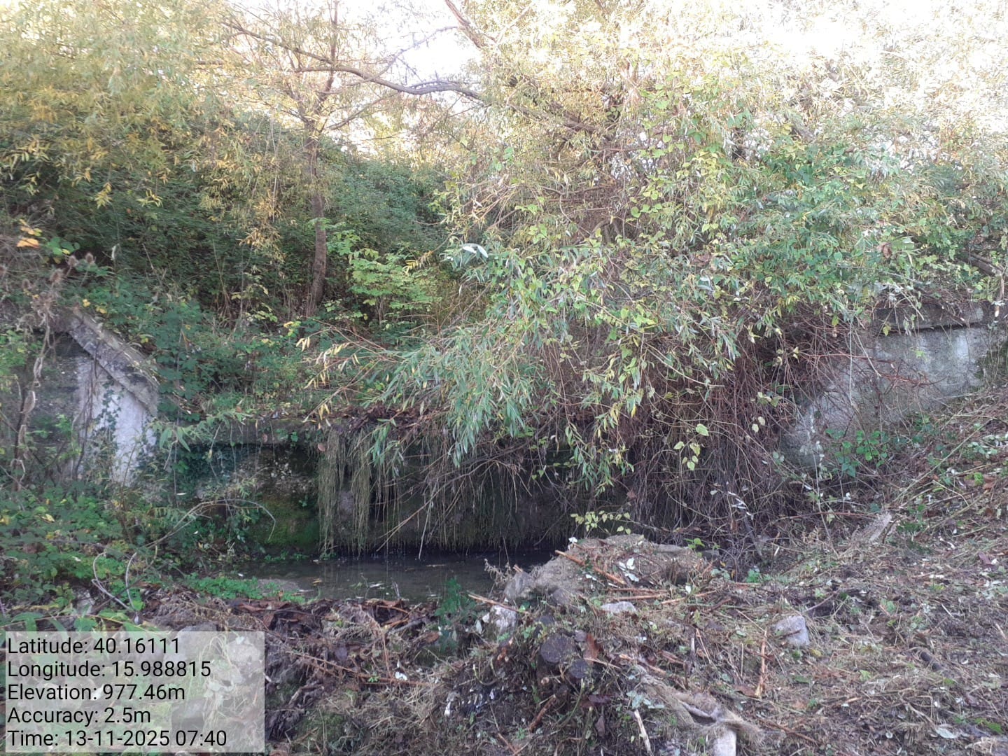 Galleria Fotografica Immagine