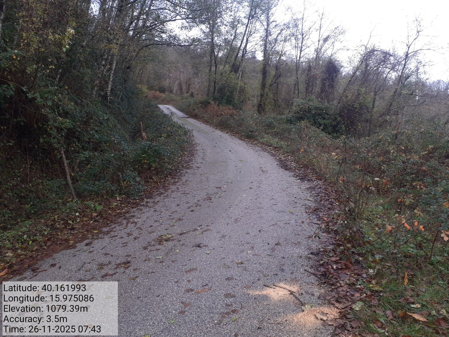 Galleria Fotografica Immagine