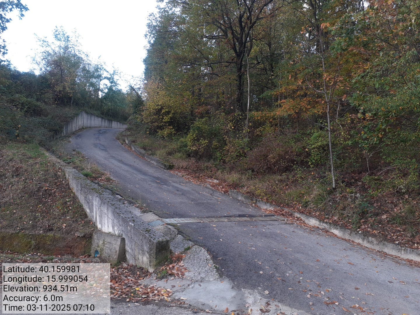 Galleria Fotografica Immagine