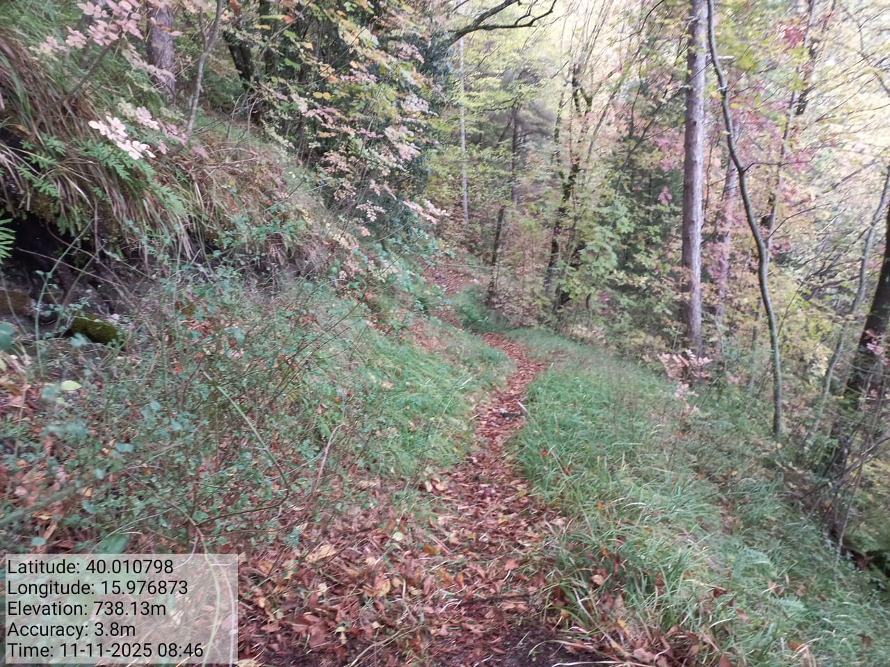 Galleria Fotografica Immagine