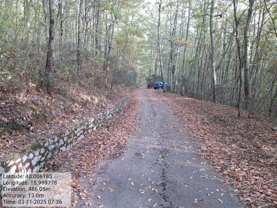 Galleria Fotografica Immagine