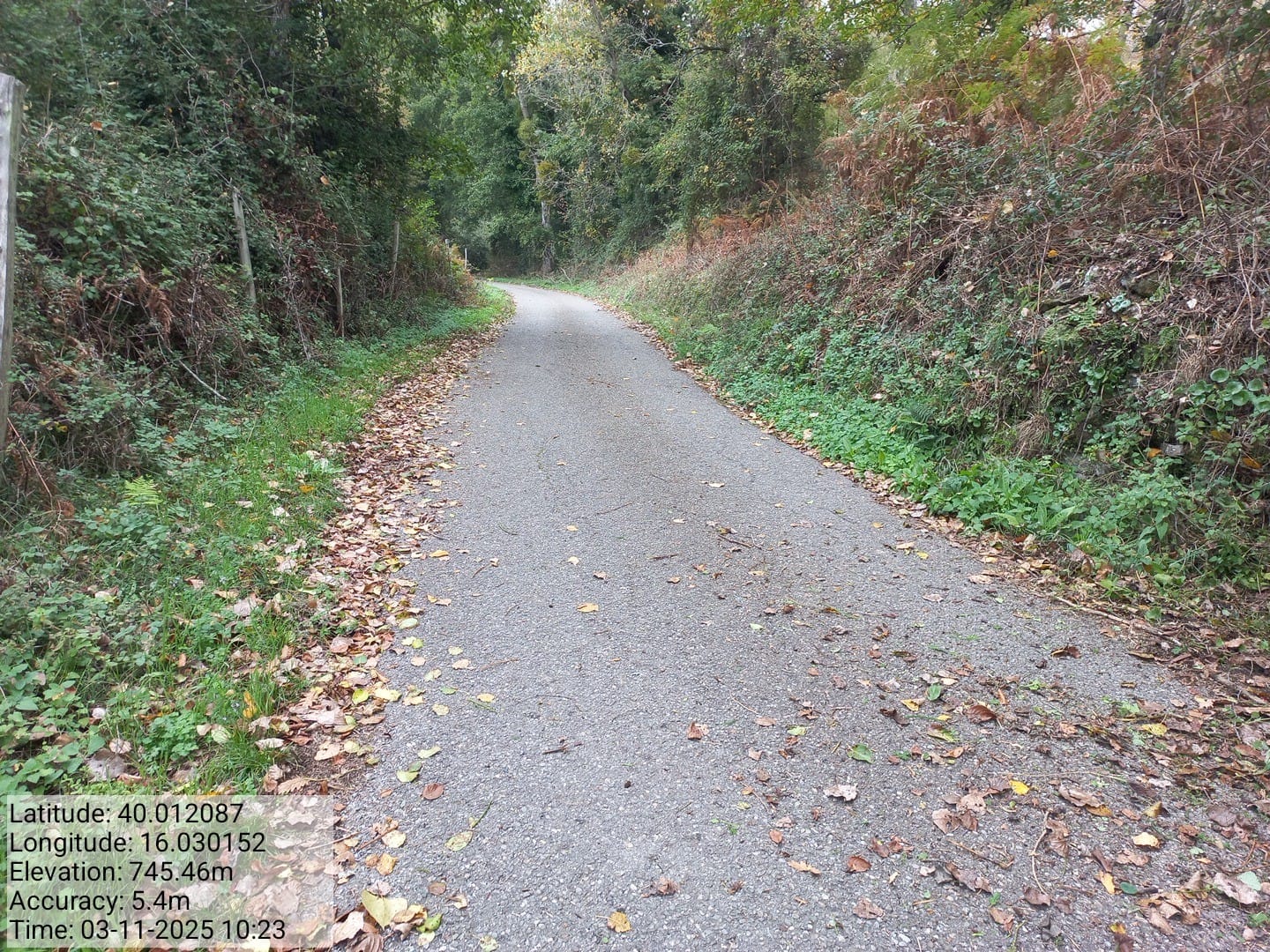 Galleria Fotografica Immagine