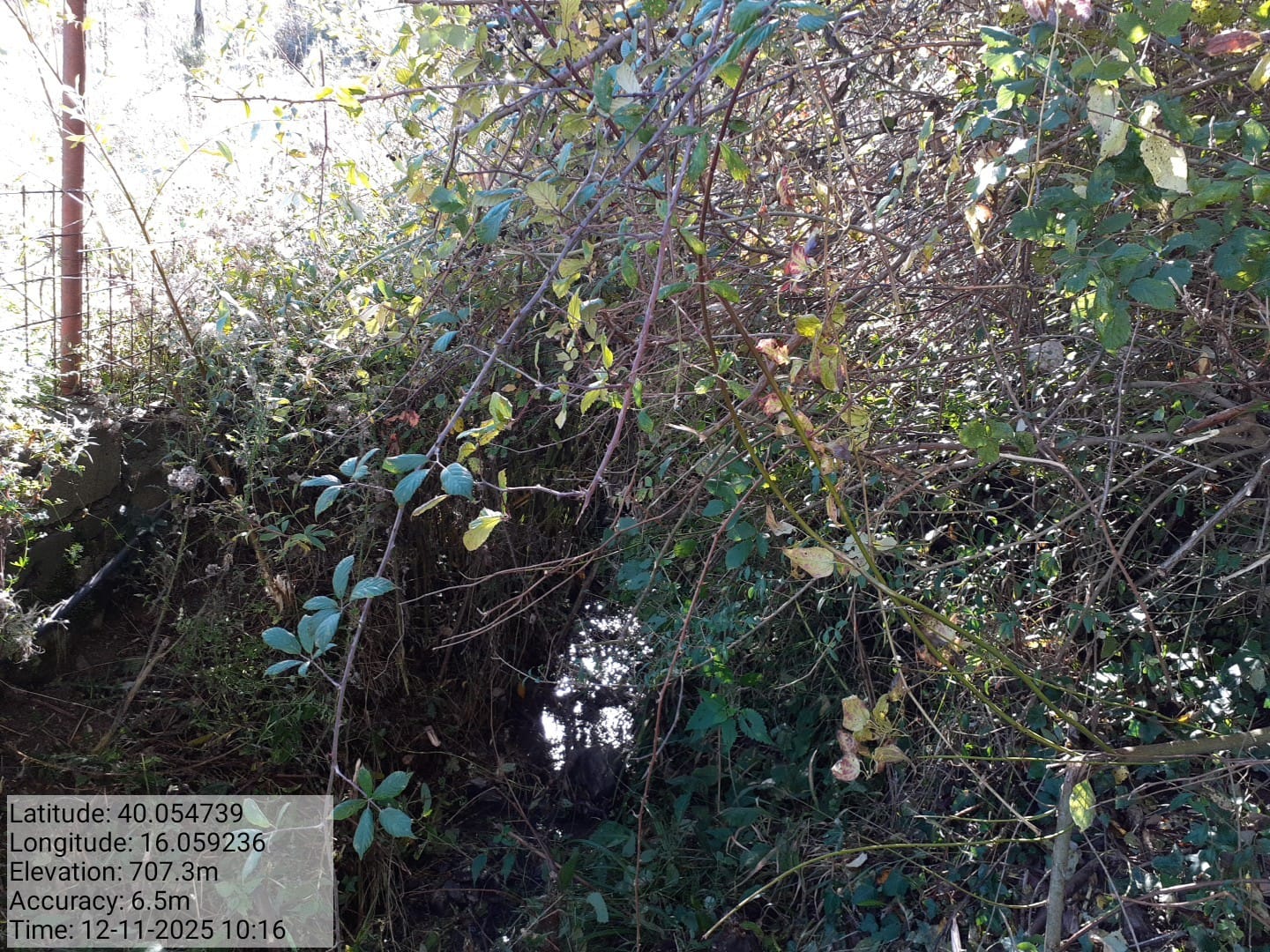 Galleria Fotografica Immagine