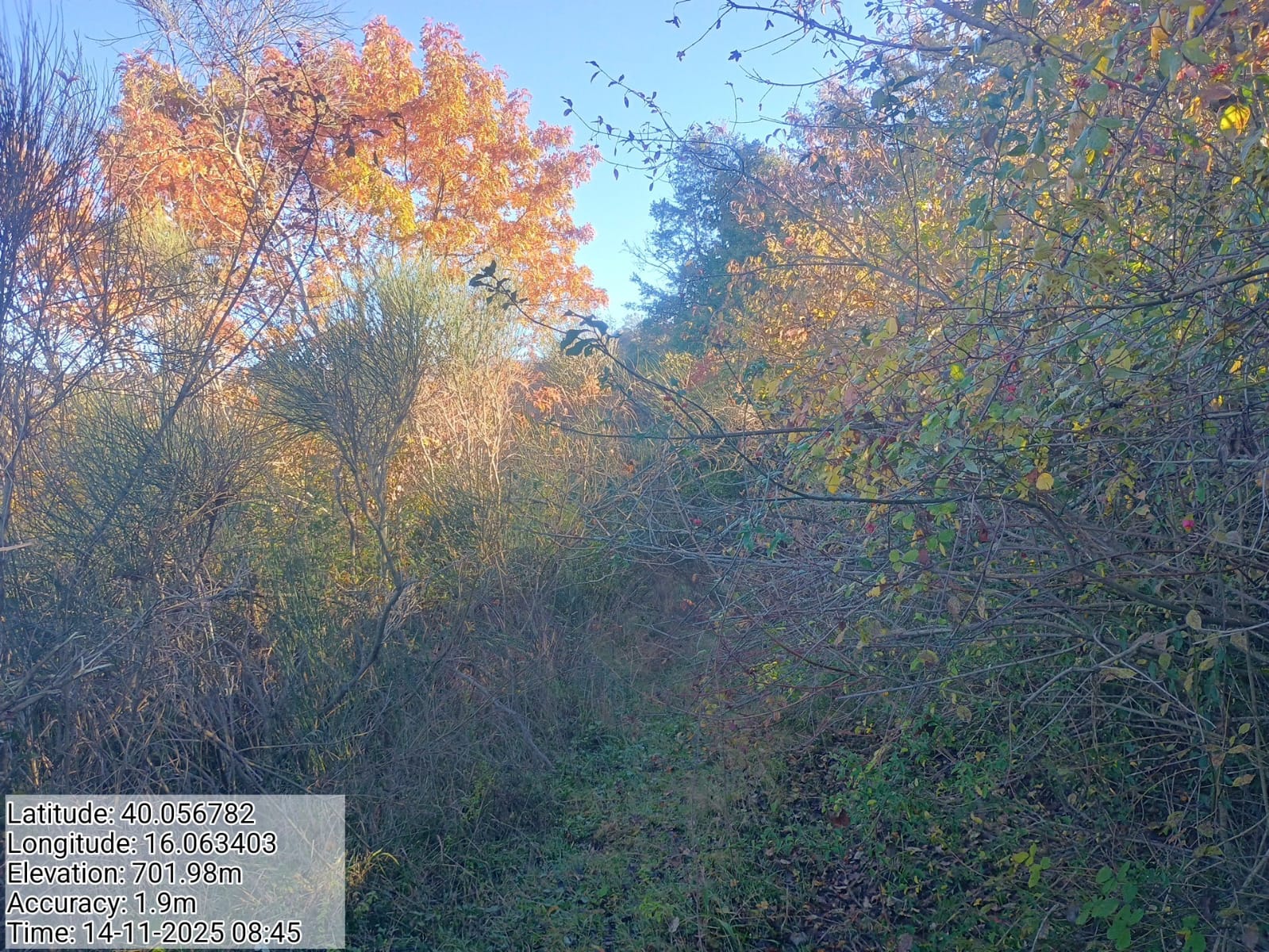 Galleria Fotografica Immagine