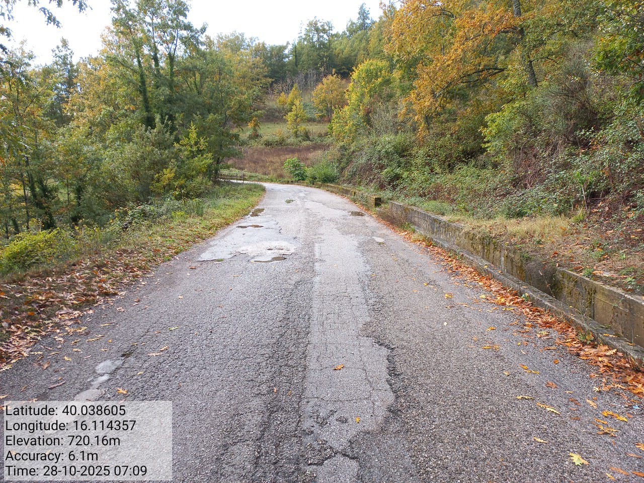 Galleria Fotografica Immagine