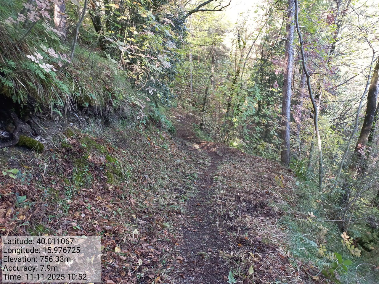 Galleria Fotografica Immagine