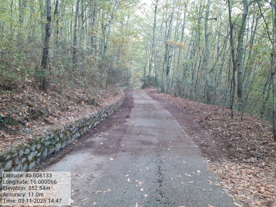 Galleria Fotografica Immagine