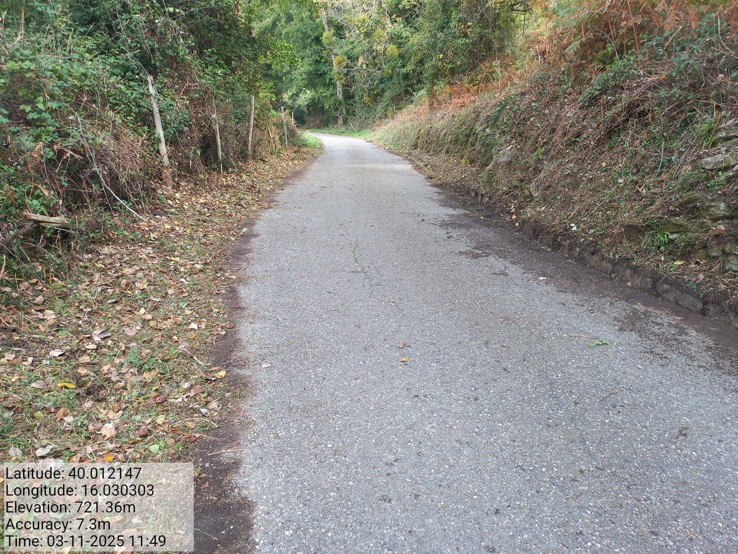 Galleria Fotografica Immagine