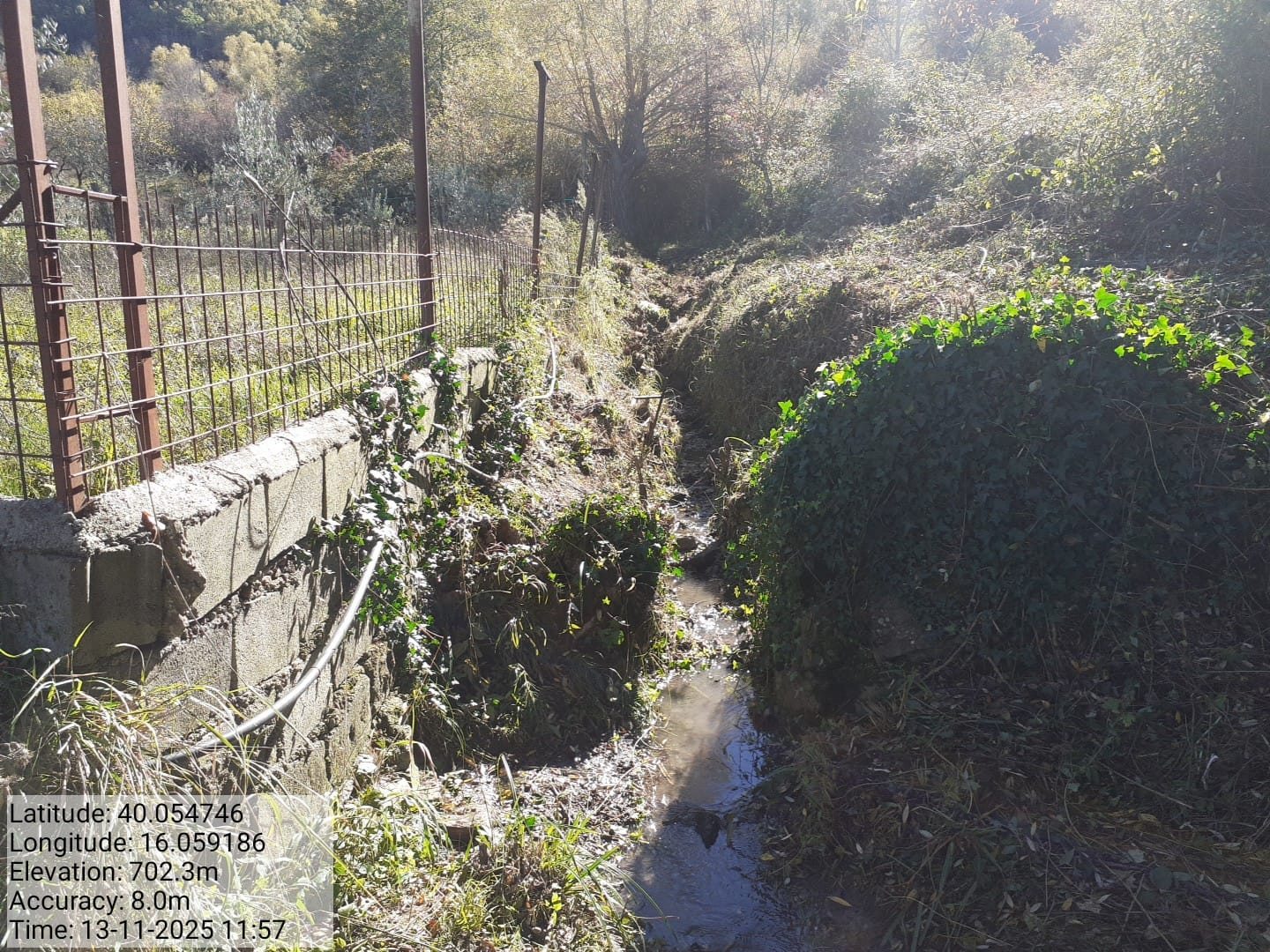 Galleria Fotografica Immagine