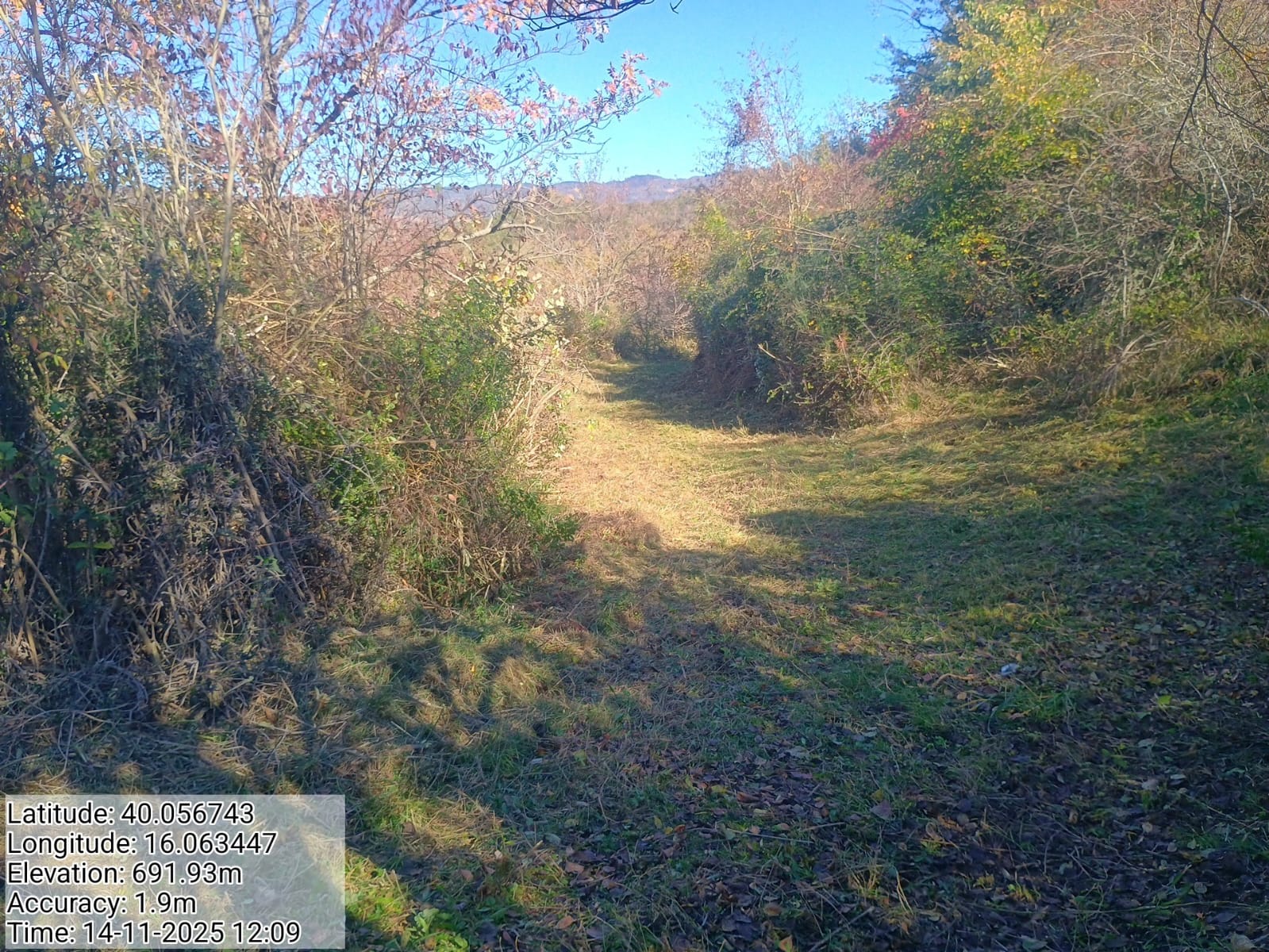 Galleria Fotografica Immagine