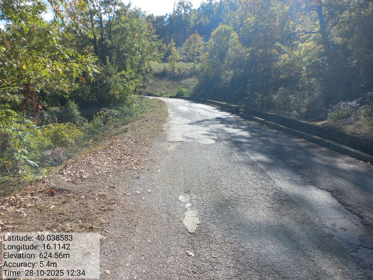 Galleria Fotografica Immagine