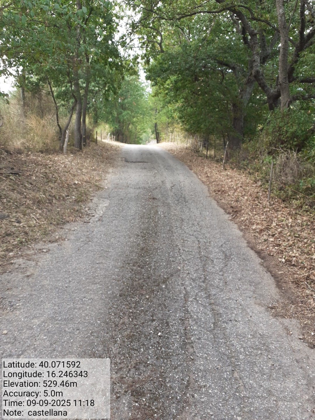 Galleria Fotografica Immagine