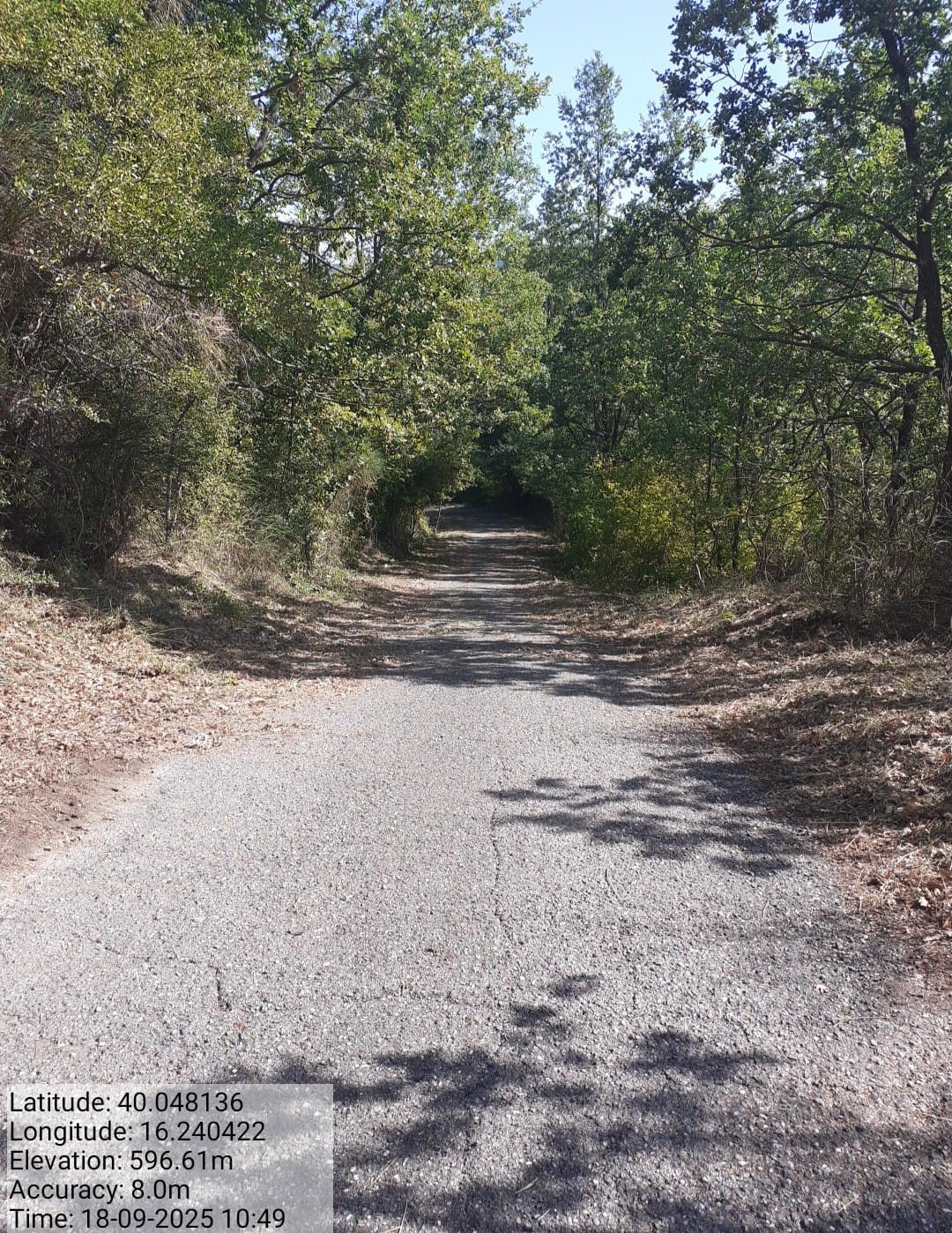 Galleria Fotografica Immagine