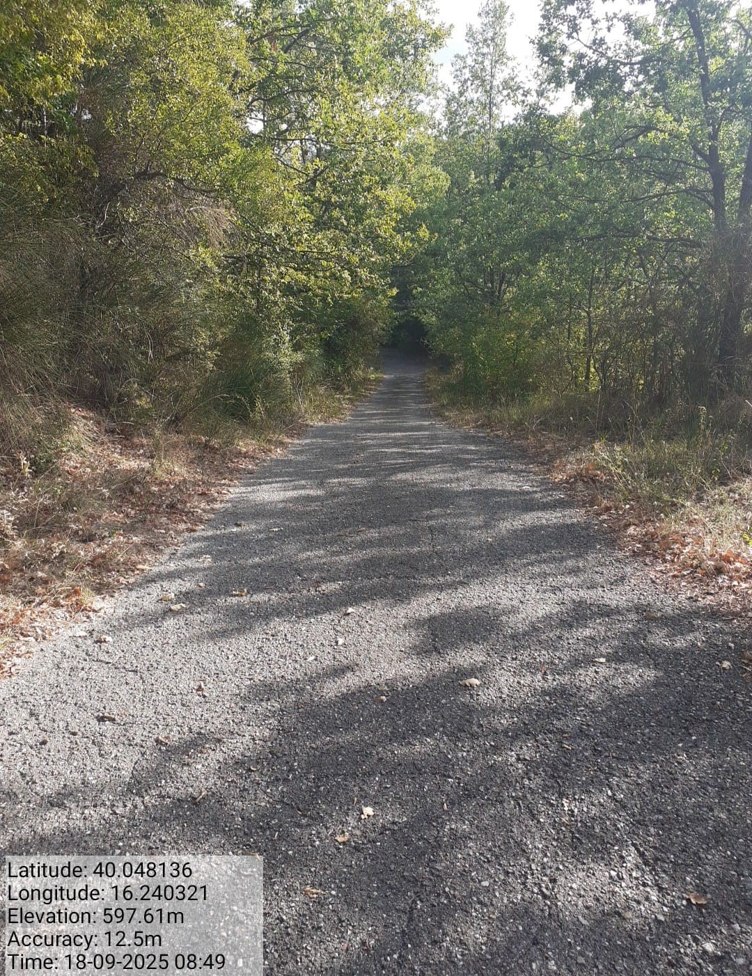 Galleria Fotografica Immagine