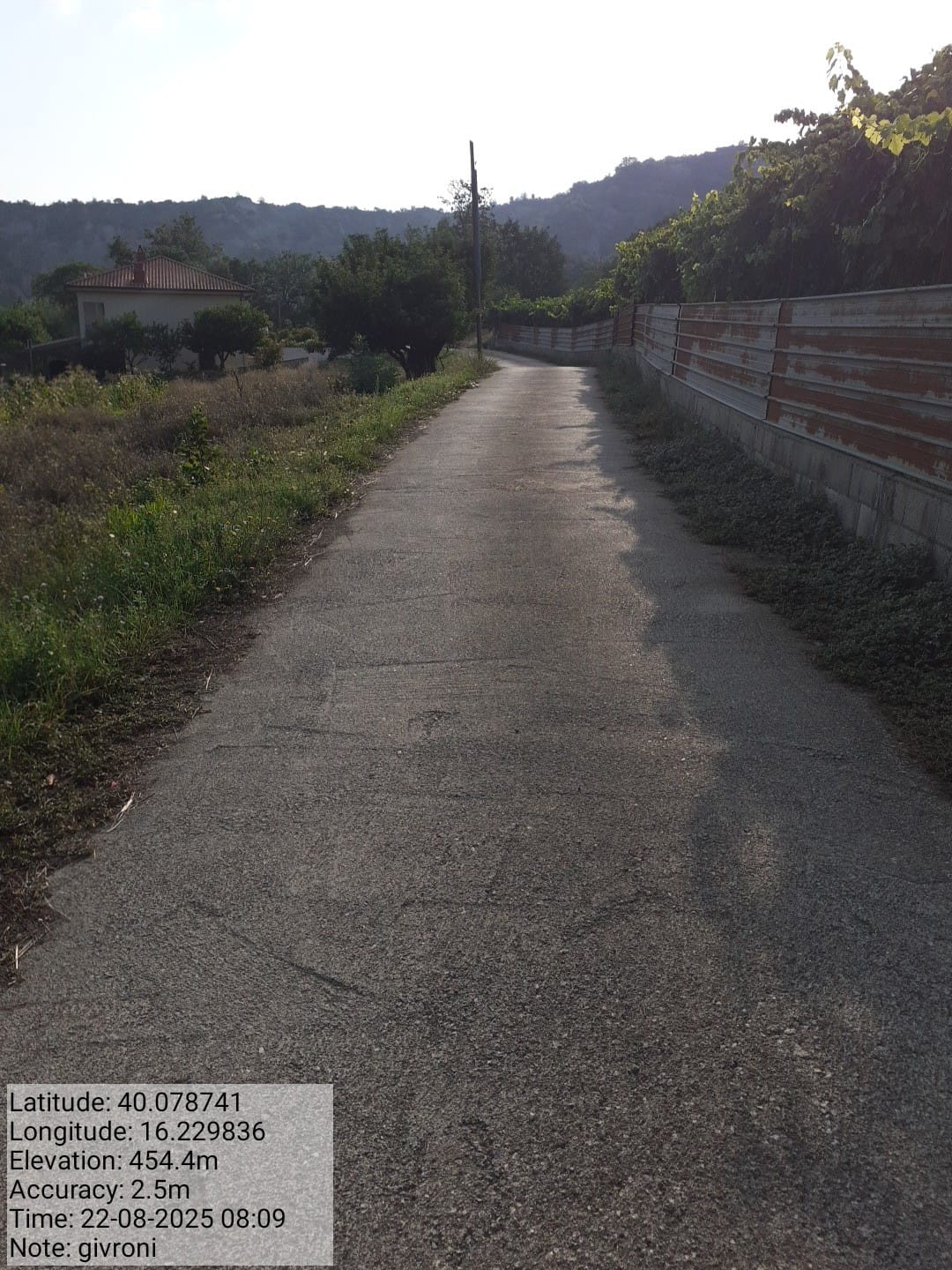 Galleria Fotografica Immagine