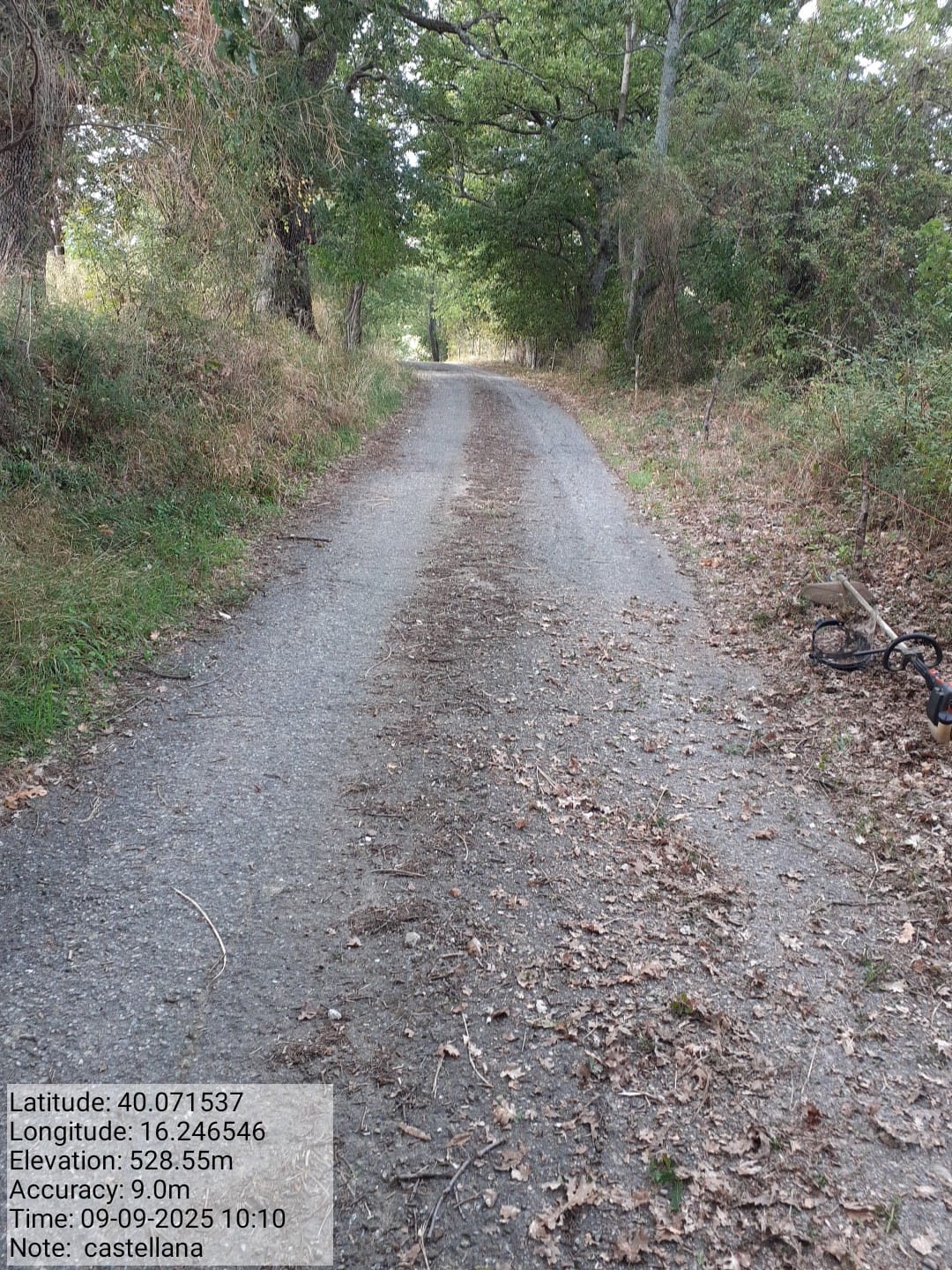 Galleria Fotografica Immagine