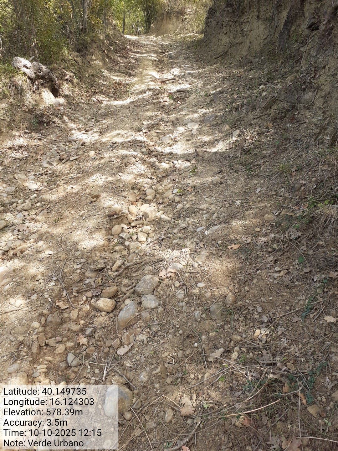 Galleria Fotografica Immagine