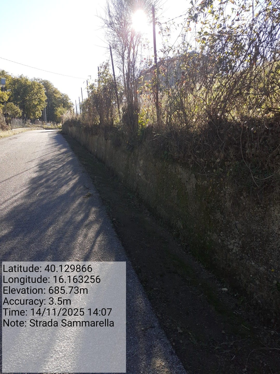 Galleria Fotografica Immagine