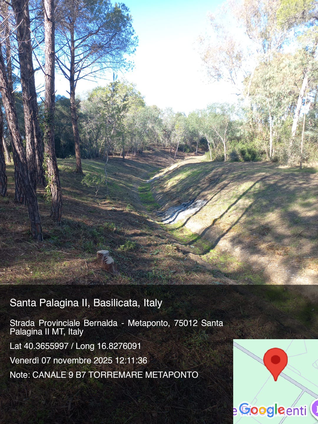 Galleria Fotografica Immagine