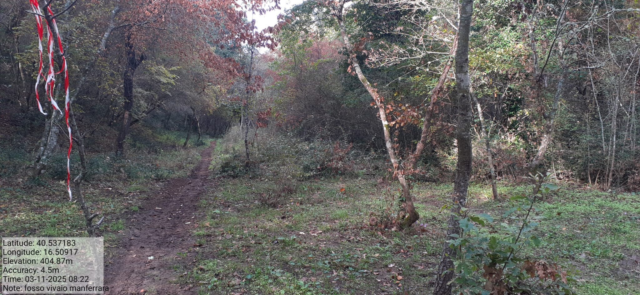 Galleria Fotografica Immagine