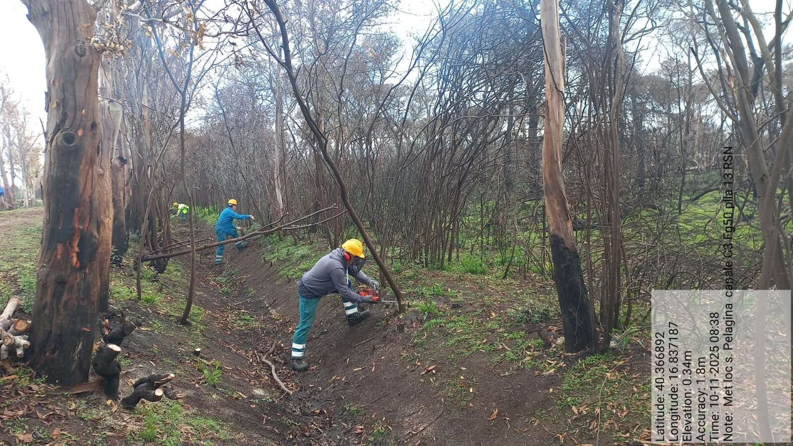 Galleria Fotografica Immagine