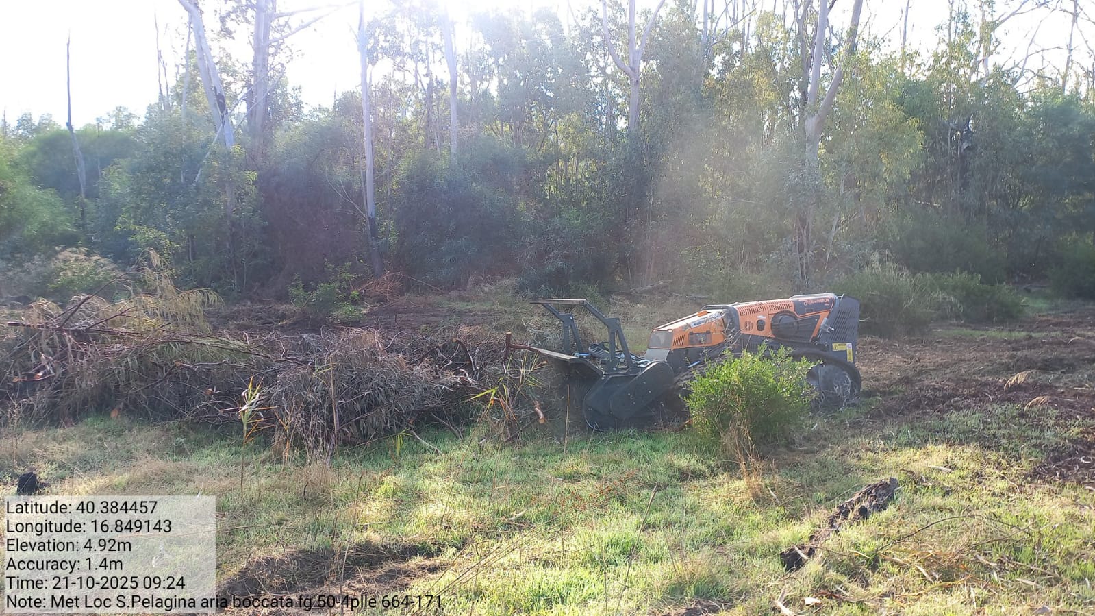 Galleria Fotografica Immagine