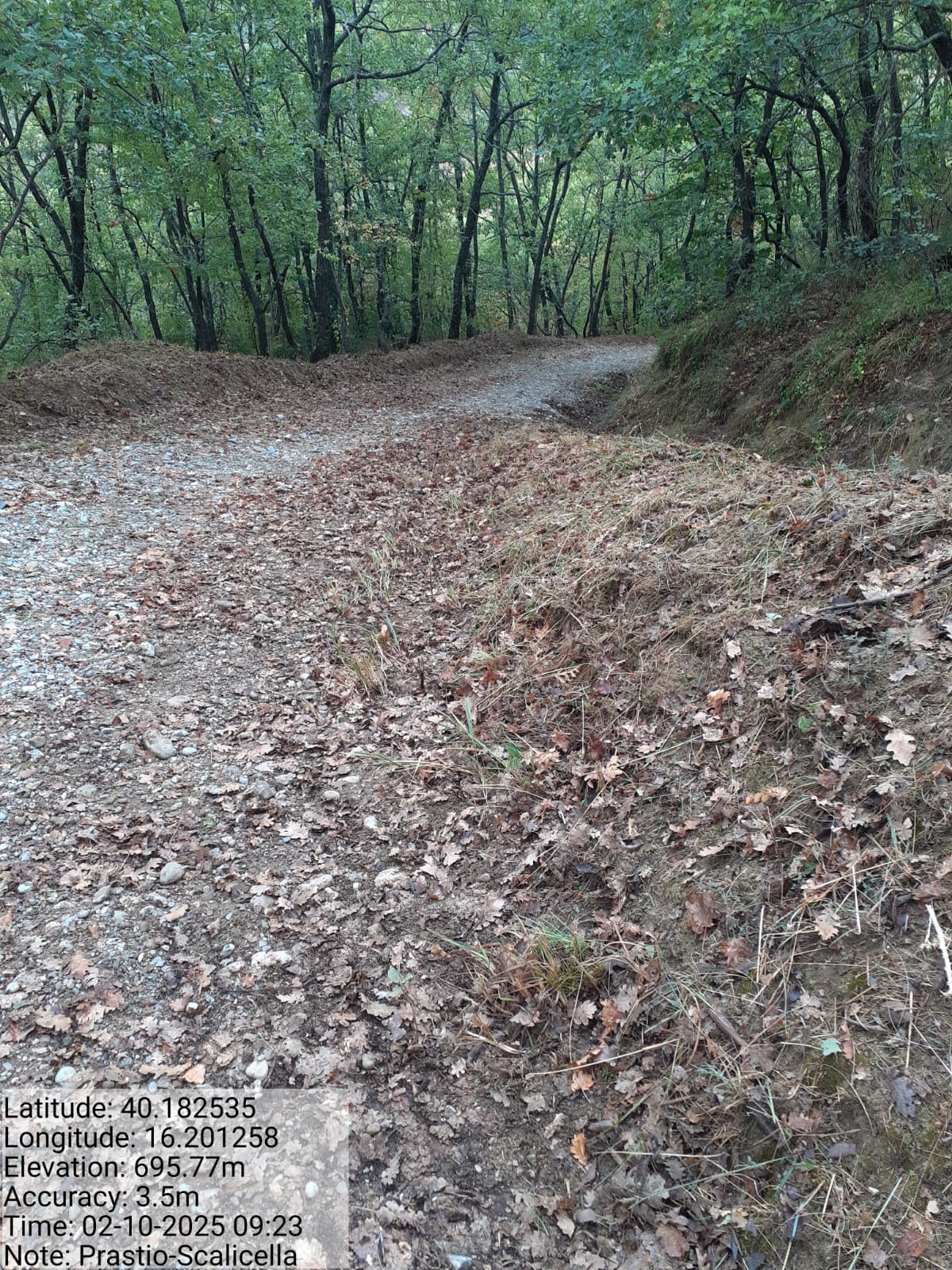 Galleria Fotografica Immagine