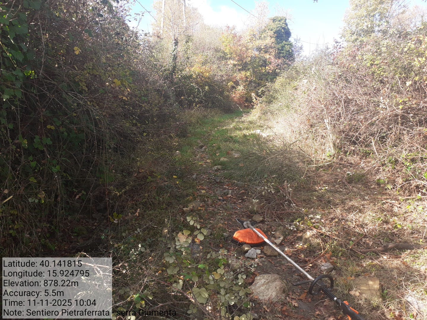 Galleria Fotografica Immagine