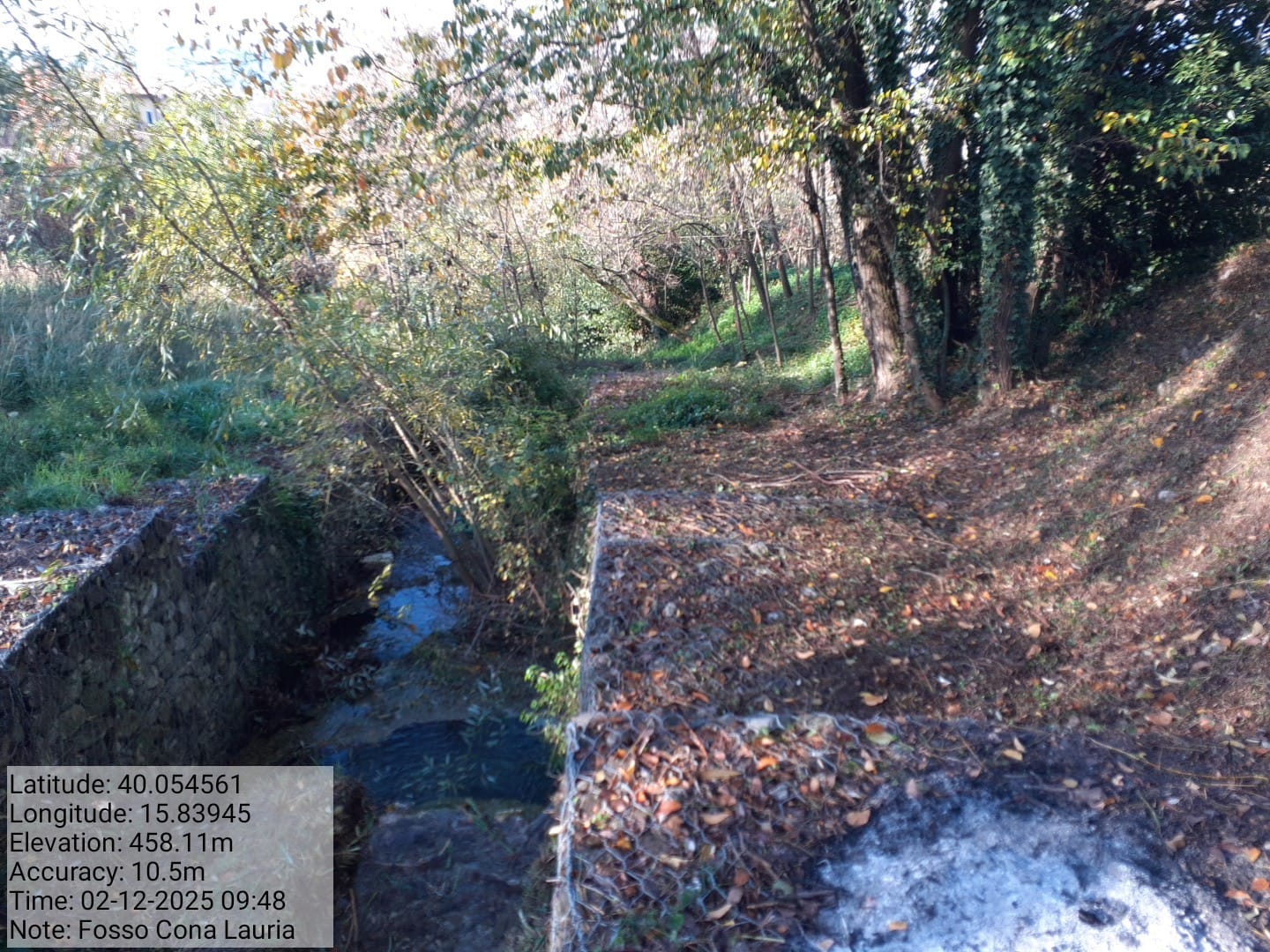 Galleria Fotografica Immagine