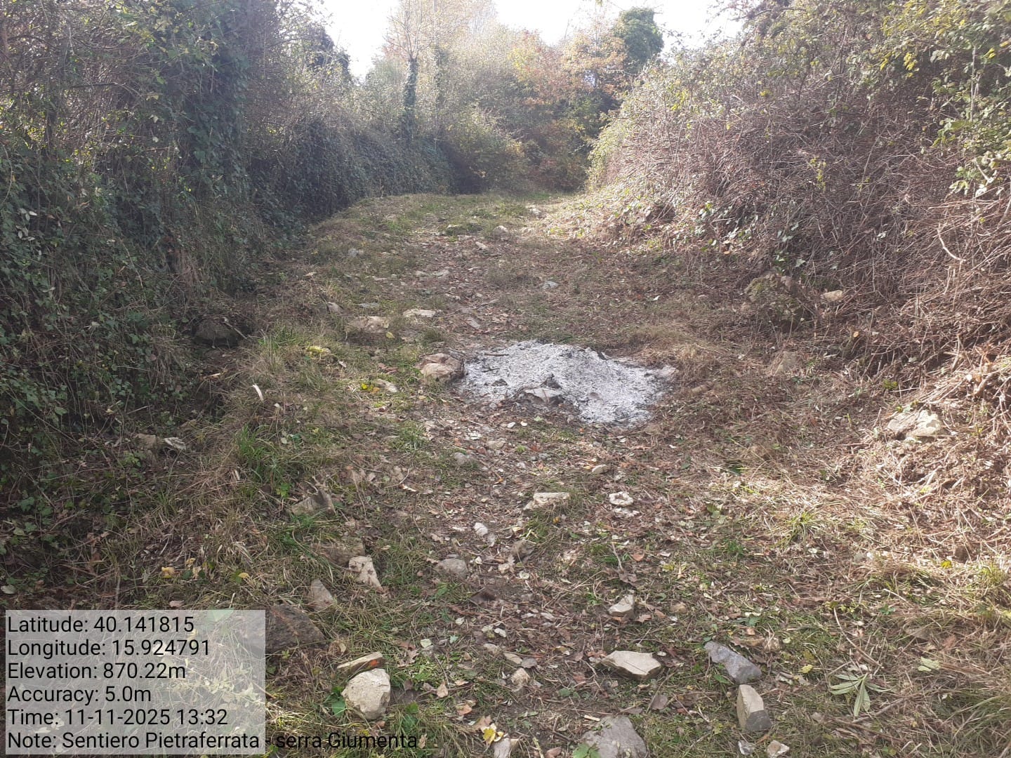 Galleria Fotografica Immagine