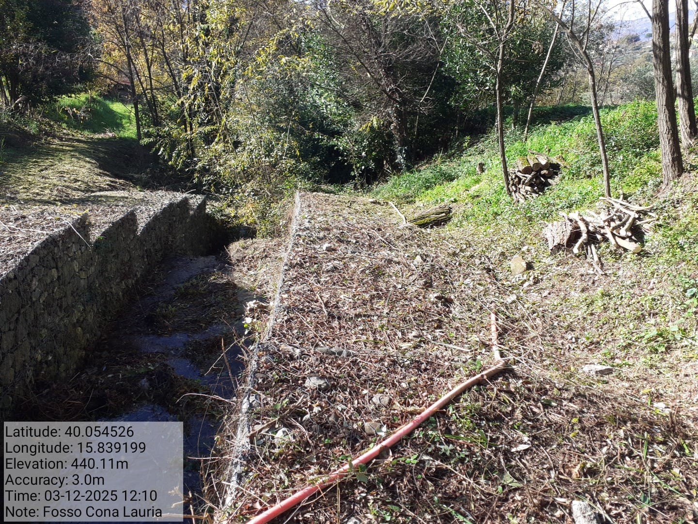 Galleria Fotografica Immagine