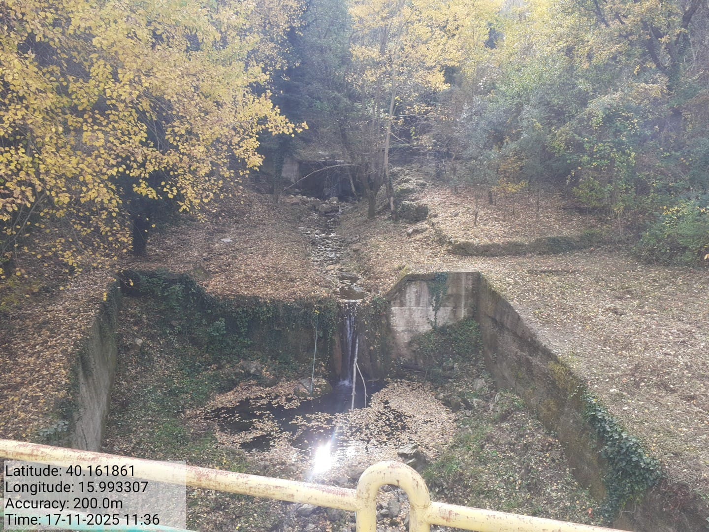 Galleria Fotografica Immagine