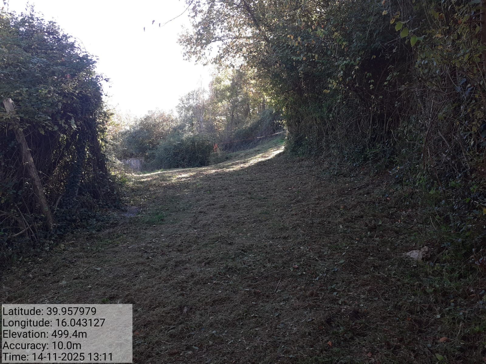 Galleria Fotografica Immagine