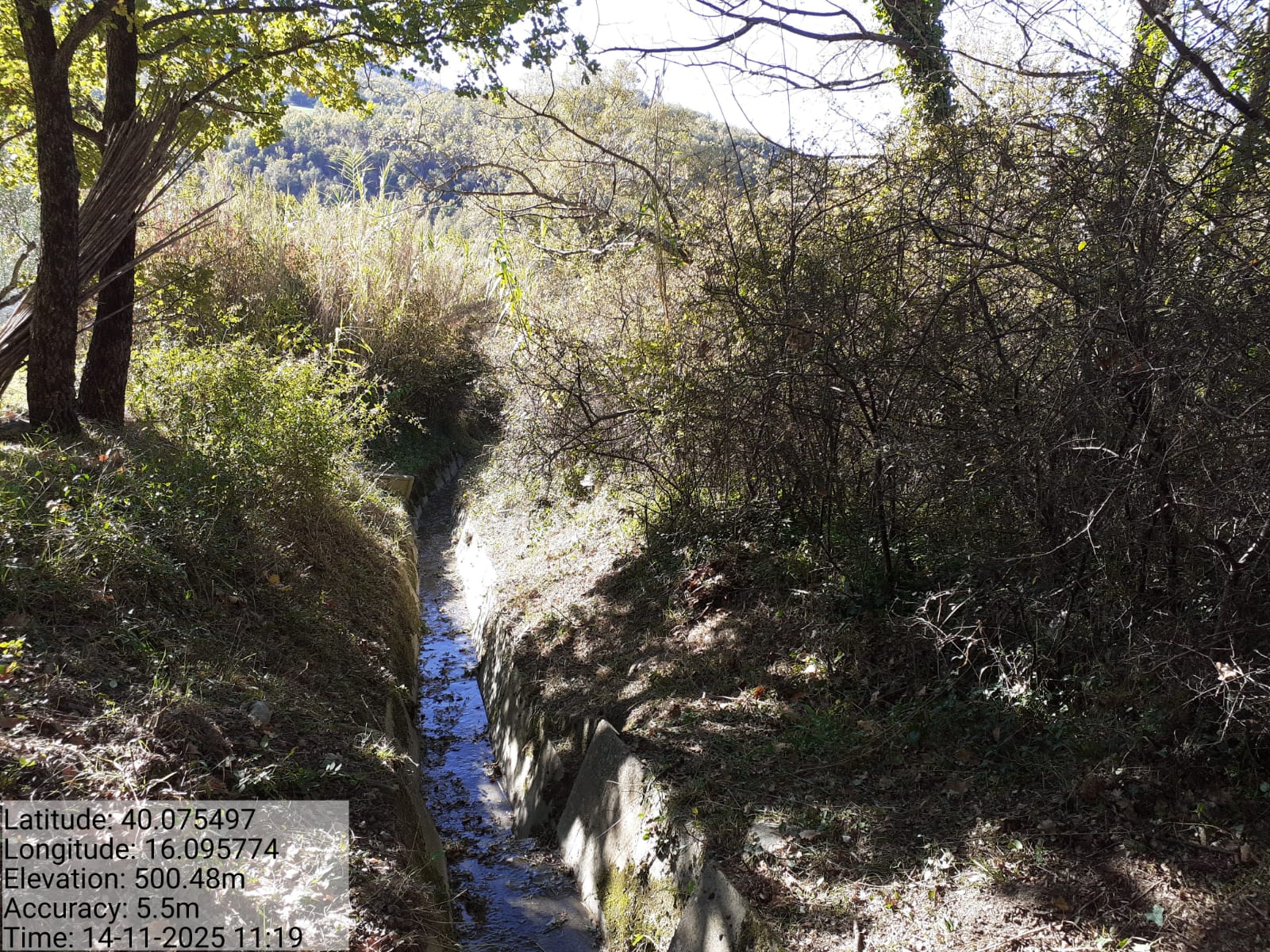 Galleria Fotografica Immagine